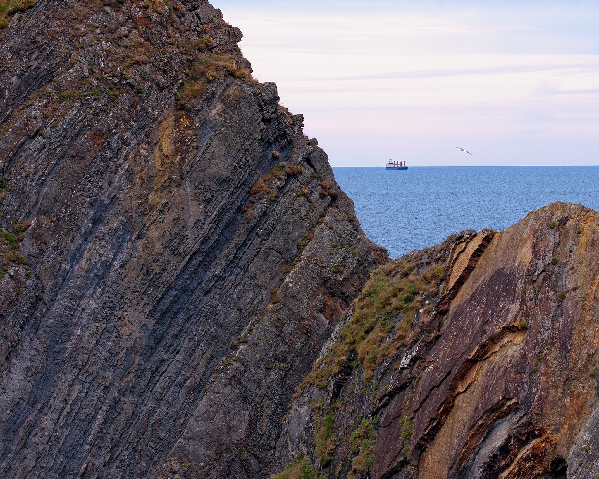 A large rock formation juts out into the ocean from both sides of the image, partially framing a cargo ship in the distance. Above the calm blue water, the sky transitions from a pale blue to soft pink hues, with a single bird flying near the rocks.