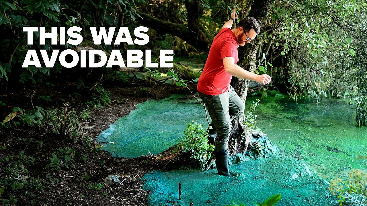 The 50 year cover up that poisoned the largest lake in ireland