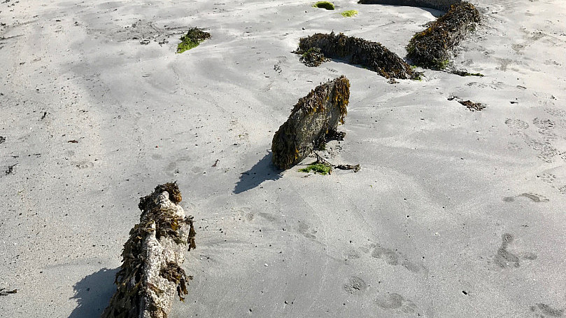 A sandy beach with scattered rocks covered in seaweed. Some green algae are visible on the sand, and there are footprints around the area. Rocks and remnants of seaweed vegetation can be found in various spots.