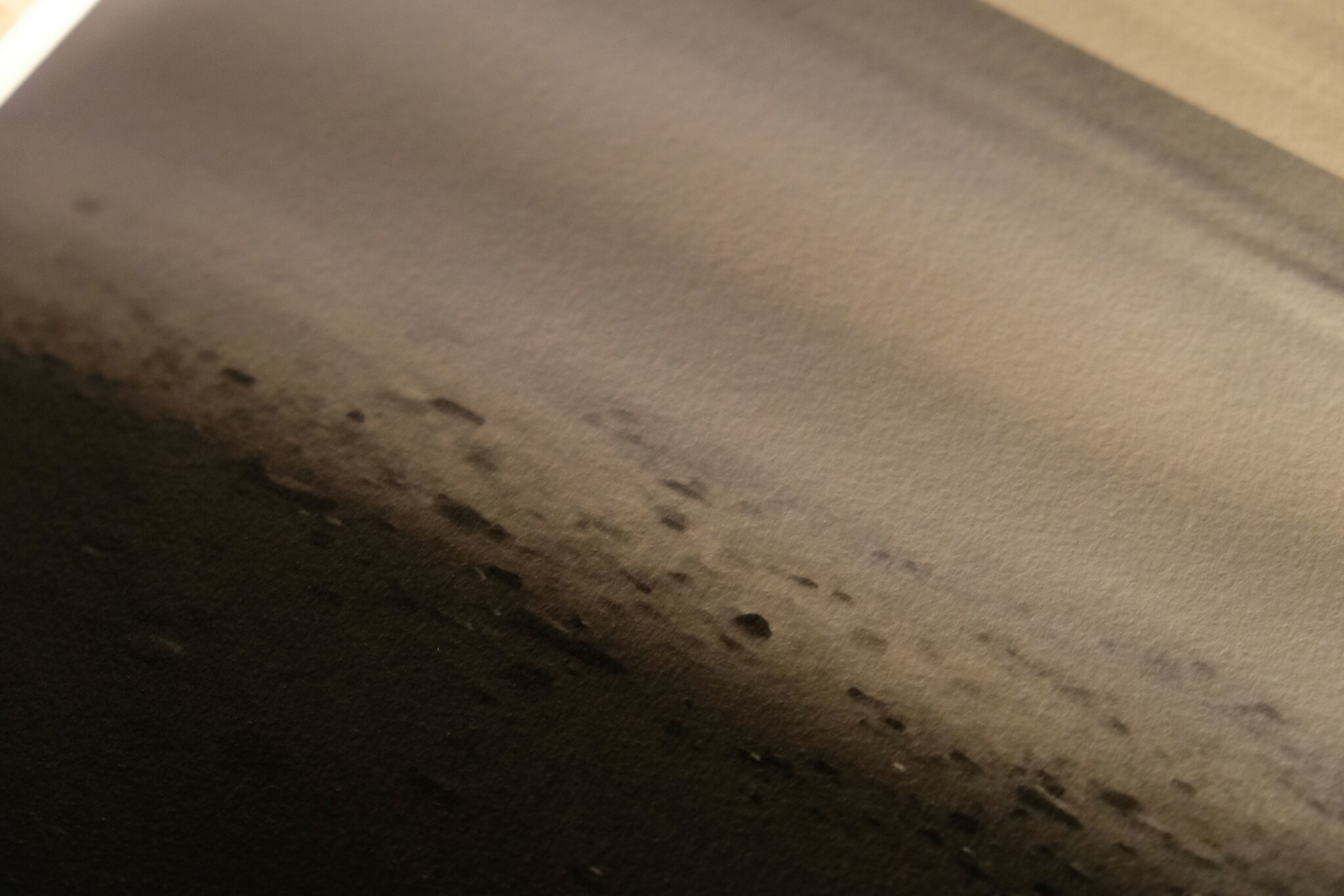 A close-up of a photograph depicting a grainy, gradient black and white texture. The image shows darker, more defined speckles and patterns at the bottom, transitioning to smoother and lighter tones towards the top.